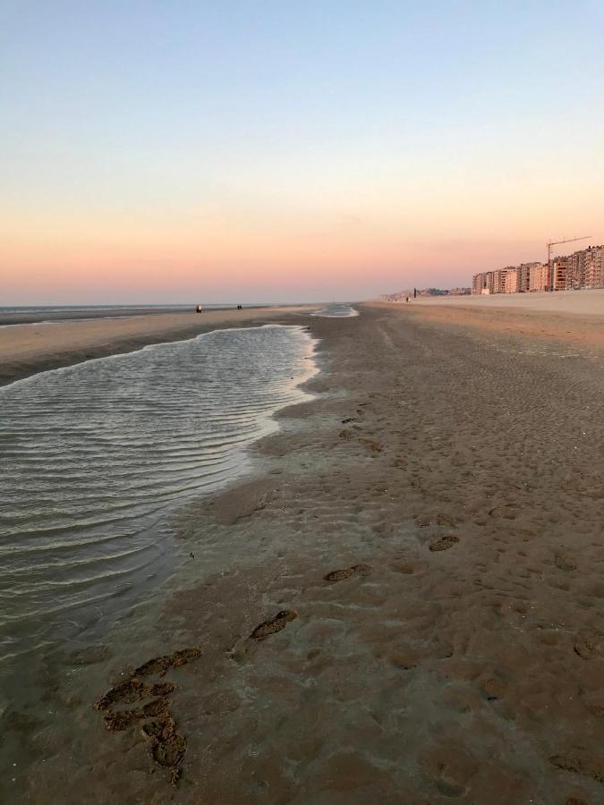 Happy Stay By Anais - 20M To Beach De Panne Dış mekan fotoğraf